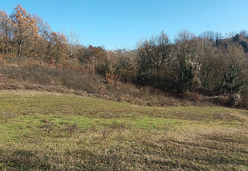 Oasi naturalistica del Carmine